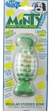 Pet Brands Minty Fresh Rubber Bone Dog Toy - Large