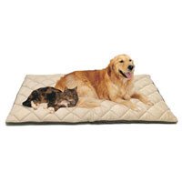 Flectabed Q Pet Beds - 18`` x 14`` (Cream)