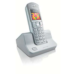 DECT6231