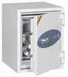 Phoenix Datacare 2002 fire data safe