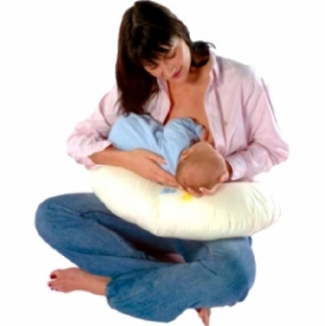 PHP Widgey Nursing Pillow