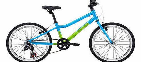 Pinnacle Ash 20 Inch Kids Bike