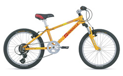 Twenty 2007 Kids Bike