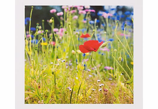 Peter John Fellows Wildflowers Greeting Card