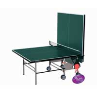 Indoor Table Tennis Table