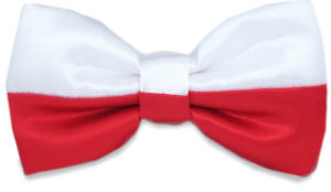 Flag Bow Tie