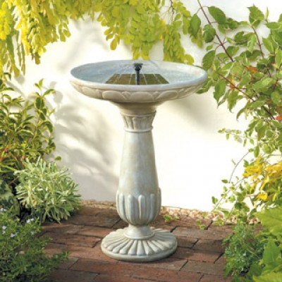 Birdbath