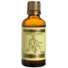 Astragalus Tincture to Boost Immunity - 50ml