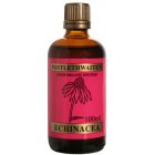 Postlethwaite`s Tincture Echinacea Tincture for the Immune System - 100ml