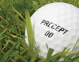 Precept Lake Balls