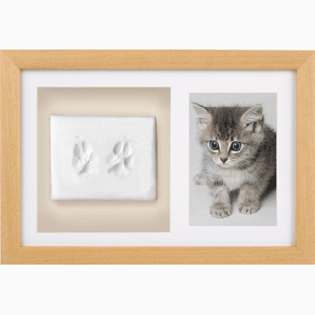 precious paws Premium Imprint Kit