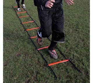 Precision Training 2m Speed Agility Ladders