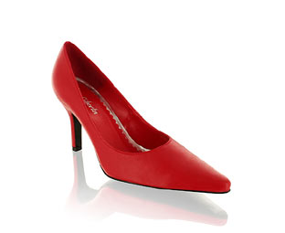 Fabulous Pointed Toe High Heel Court Shoe