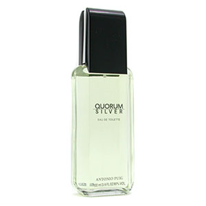 Quorum Silver Eau de Toilette Spray 100ml