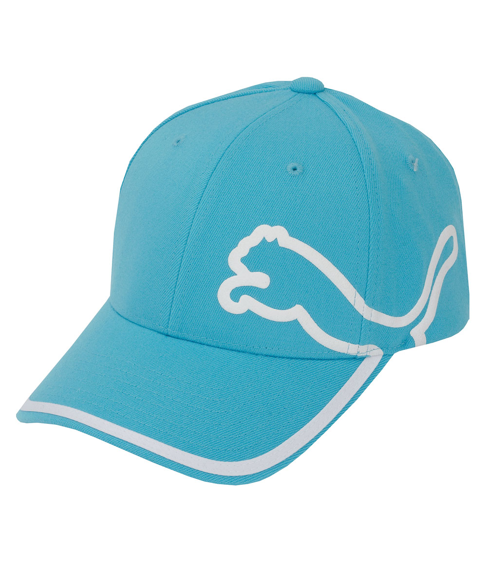 Puma Golf Monoline Relaxed Fit Cap Blue