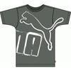 PUMA Massive No.1 Men`s Tee (80617903)