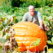 Pumpkin Seeds - Atlantic Giant