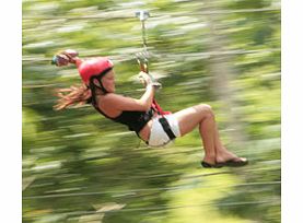 Punta Cana Canopy Adventure - Child