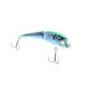 : Peter Bledran 11cm Rainbow Trout Wobbler