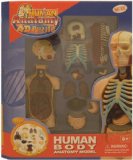 QUAY Human Body Anatomy Model