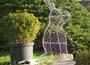 rabbit topiary