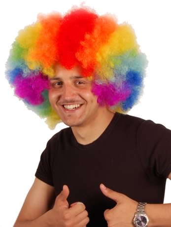 Rainbow Afro Wig