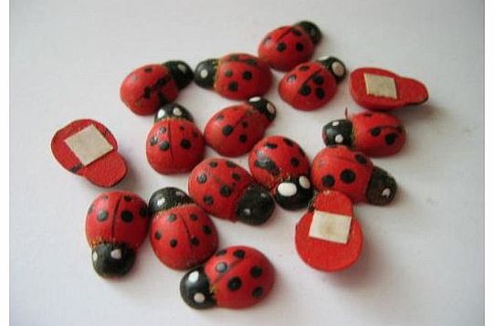 Rainbow Self Adhesive Wooden Ladybirds x48