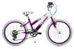 Raleigh Krush 20 Inch 2011 Kids Bike (20