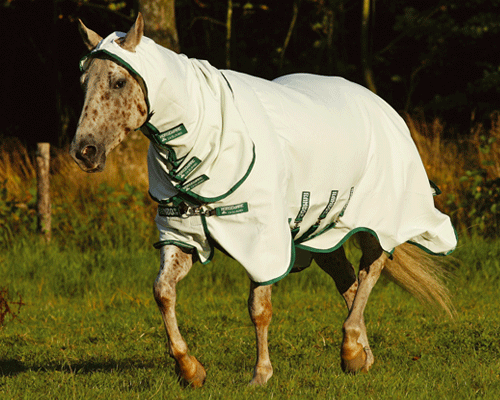 Rambo Sweetich Hoody Rambo Pony Sweetich Hoody Fly Sheet