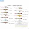 Rapala X-Rap Saltwater 12cm BSRD