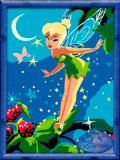 Disney Fairies paint by numbers