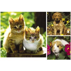 Home Animals 3 x 49 Piece Jigsaw Puzzles