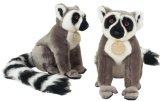 Ring-tailed Lemur 23cm - FRS 22B