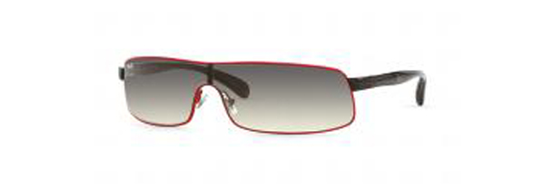 RB 3243 Predator Sunglasses