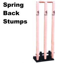 Spring Stumps