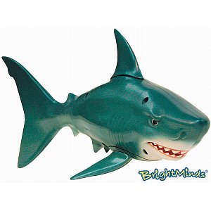 Great White Shark