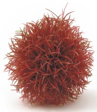 Reef One biOrb Aquatic Topiary Colour Ball 1 Pack