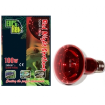 Euro Rep Red Night Spot Lamp 40 Watt Screw Fit