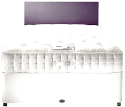 Rest Assured Paradise 2600 Advanced Memory Small