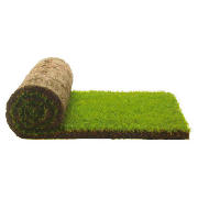 Medallion Turf - 10x 1m2 roll (10 rolls)