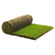 Medallion Turf - 1m2 roll (30 rolls)