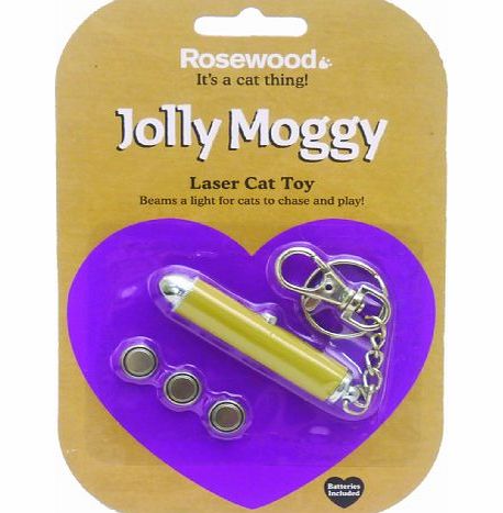 ROSEWOOD  Laser Cat Toy