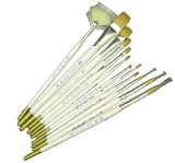 Artist Brush Set - 12 Short Handle Gold Taklon and White Bristle Brushes