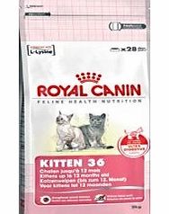 Royal Canin Feline Health Nutrition Kitten