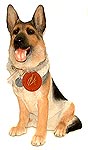 Royal Doulton Rex - German Shepherd