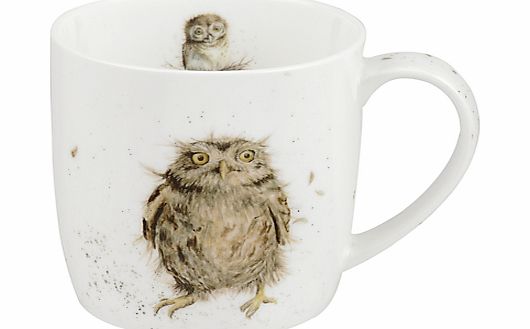 Royal Worcester Wrendale What a Hoot Mug