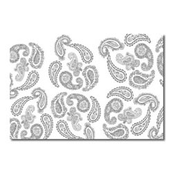 Paisley Black & White Canvas