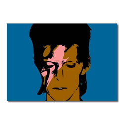 Ziggy Stardust Canvas