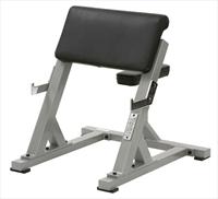 York Seated Preacher Curl Bench