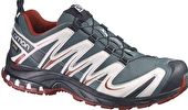 Mens XA Pro 3D GTX Trail Shoe - Dark TT Grey